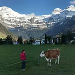 Elk Lejlighed *