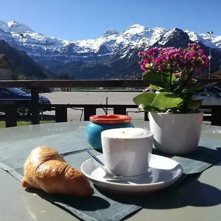 Elk Lenk