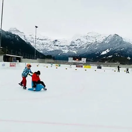Elk Apartment Lenk